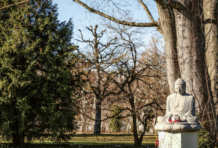 Die Welt auf Berns Bremgarten-Friedhof